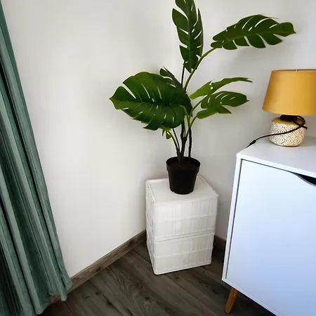 Grand T3 Centre Du Havre 르아브르